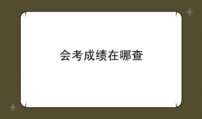 会考成绩在哪查